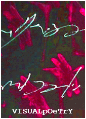 VISUALpOeTrY